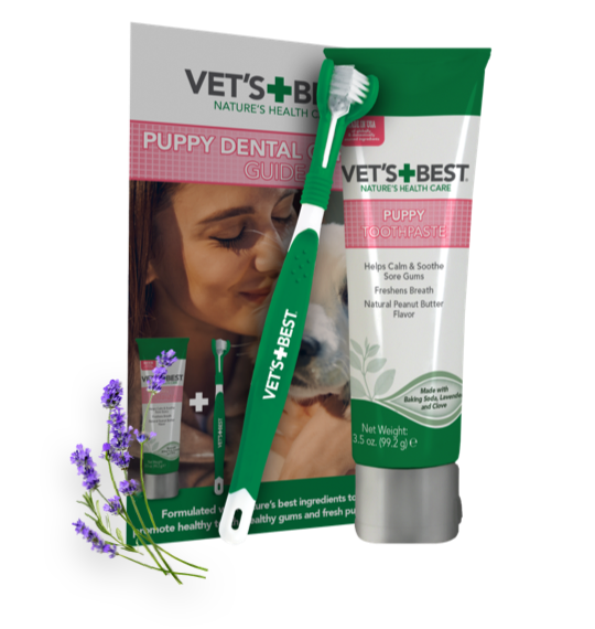 Vet's Best Dental Care Breath Freshener